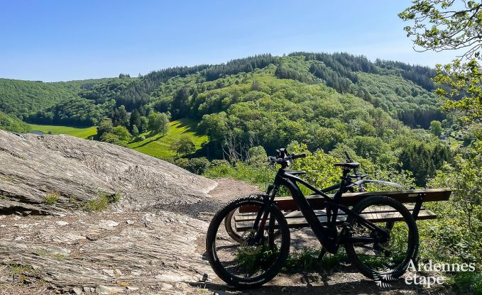 Ruim en comfortabel vakantiehuis voor 16 personen in Rochehaut, Ardennen
