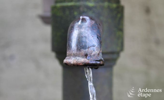 Vakantiehuis in Saint-Hubert (Awenne) voor 8 personen in de Ardennen