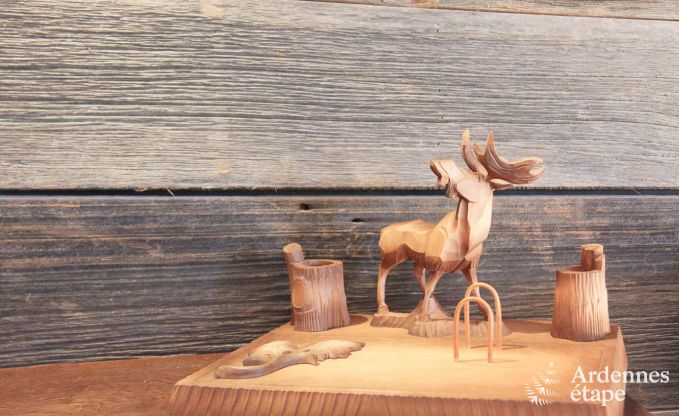 Vakantiehuis in Saint-Hubert (Awenne) voor 8 personen in de Ardennen