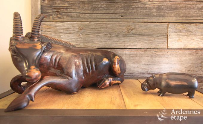 Vakantiehuis in Saint-Hubert (Awenne) voor 8 personen in de Ardennen