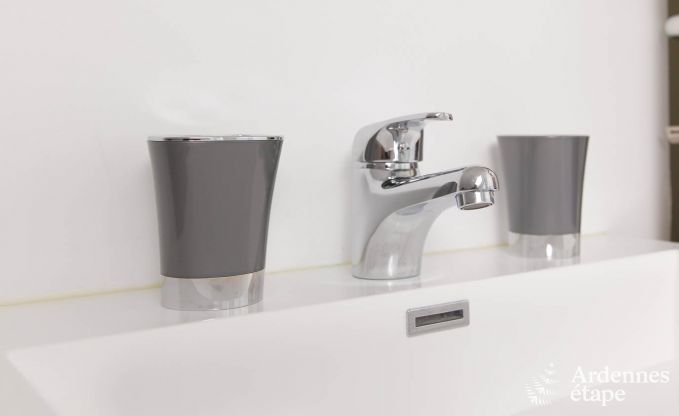 Vakantiehuis in Saint-Hubert (Awenne) voor 8 personen in de Ardennen