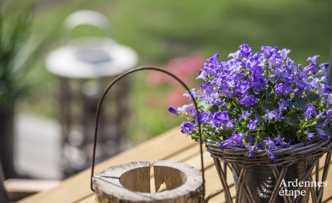 Chalet in Saint-Hubert voor 4 personen in de Ardennen