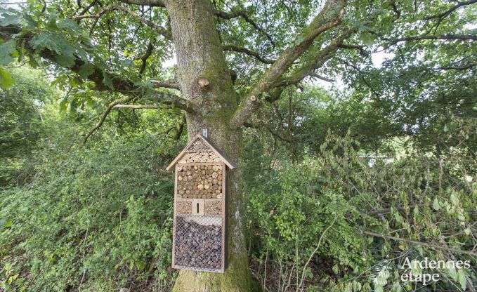 Chalet in Saint-Hubert voor 4 personen in de Ardennen