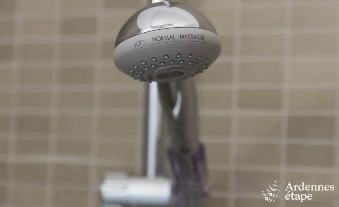 Ruime vakantiewoning in Saint-Hubert met speelkamer, tuin en 6 slaapkamers voor 20 personen in de Ardennen