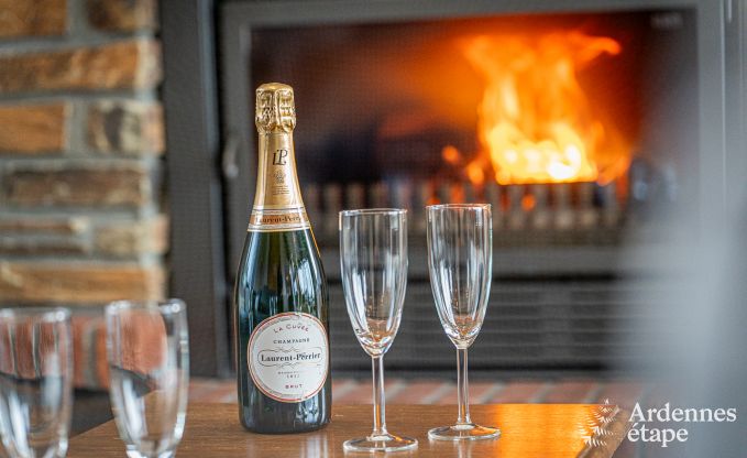 Ruim vakantiehuis voor 12 personen in Saint-Hubert, Ardennen