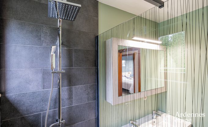 Ruim vakantiehuis voor 12 personen in Saint-Hubert, Ardennen