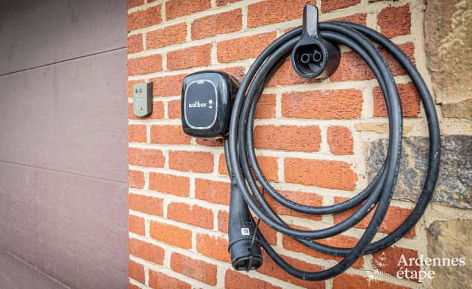 Ruim vakantiehuis voor 12 personen in Saint-Hubert, Ardennen