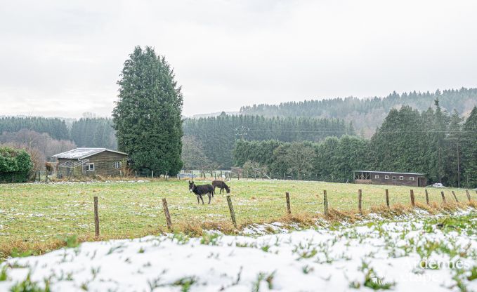 Ruim vakantiehuis voor 12 personen in Saint-Hubert, Ardennen