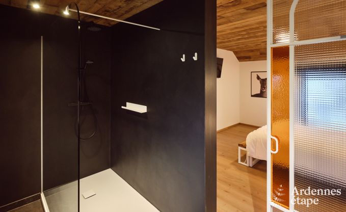 Vakantiewoning in Saint-Hubert: comfortabele accommodatie voor 6 personen met sauna, speelkamer en privtuin in de Ardennen