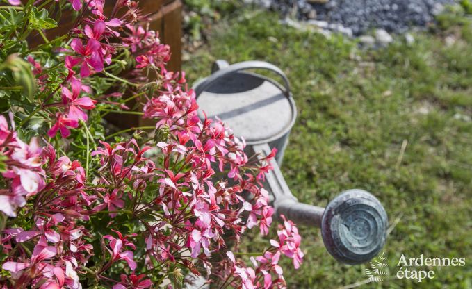 Chalet in Saint-Hubert voor 4 personen in de Ardennen