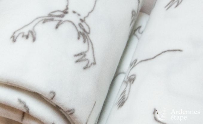 Chalet in Saint-Hubert voor 9 personen in de Ardennen