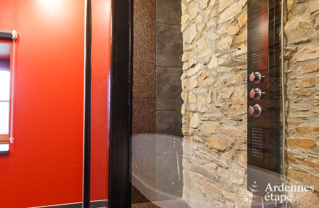 Vakantiehuis in Saint-Hubert voor 8/9 personen in de Ardennen