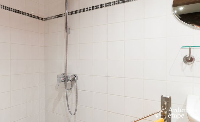 Vakantiehuis in Saint-Hubert voor 8/9 personen in de Ardennen