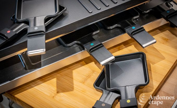 Hondvriendelijk vakantiehuis  met jacuzzi en houtbarbecue voor 9 pers. in Saint-Hubert, Ardennen