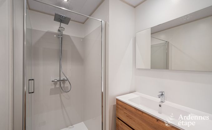 Hondvriendelijk vakantiehuis  met jacuzzi en houtbarbecue voor 9 pers. in Saint-Hubert, Ardennen