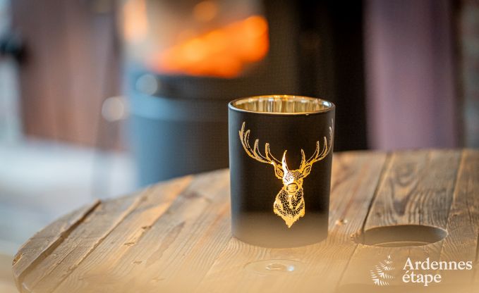 Hondvriendelijk vakantiehuis  met jacuzzi en houtbarbecue voor 9 pers. in Saint-Hubert, Ardennen