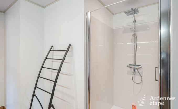 Hondvriendelijk vakantiehuis  met jacuzzi en houtbarbecue voor 9 pers. in Saint-Hubert, Ardennen