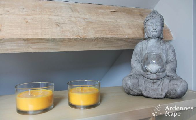 Vakantiehuis in Saint-Hubert voor 9 personen in de Ardennen