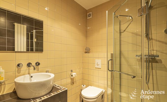 Vakantiehuis in Saint-Vith voor 15 personen in de Ardennen