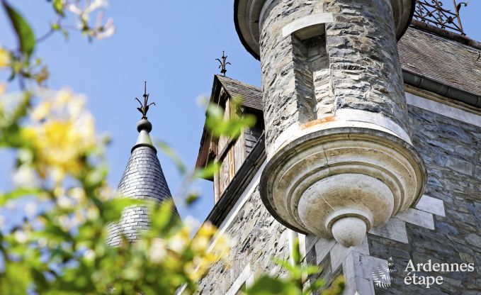 Historisch kasteel in Sainte-Ode voor 46 personen, met zwembad