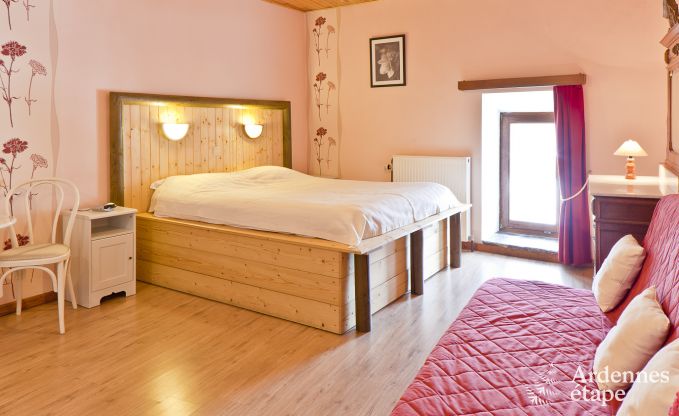 Historisch kasteel in Sainte-Ode voor 46 personen, met zwembad