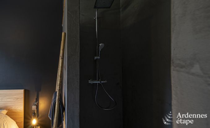 Luxe villa in Sainte-Ode voor 14 personen in de Ardennen