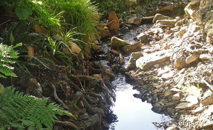 Vakantiehuis in Sainte-Ode voor 4/6 personen in de Ardennen