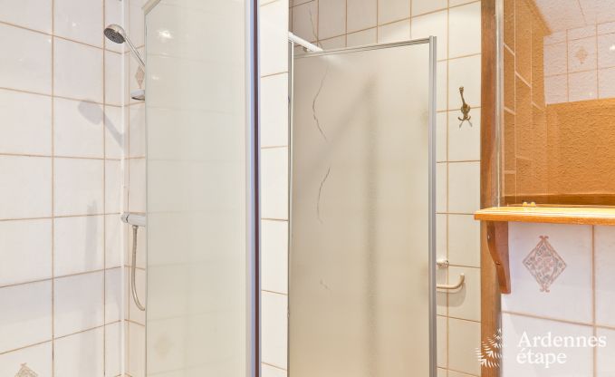 Historisch kasteel in Sainte-Ode voor 46 personen, met zwembad