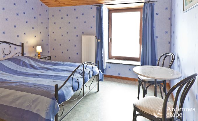 Historisch kasteel in Sainte-Ode voor 46 personen, met zwembad