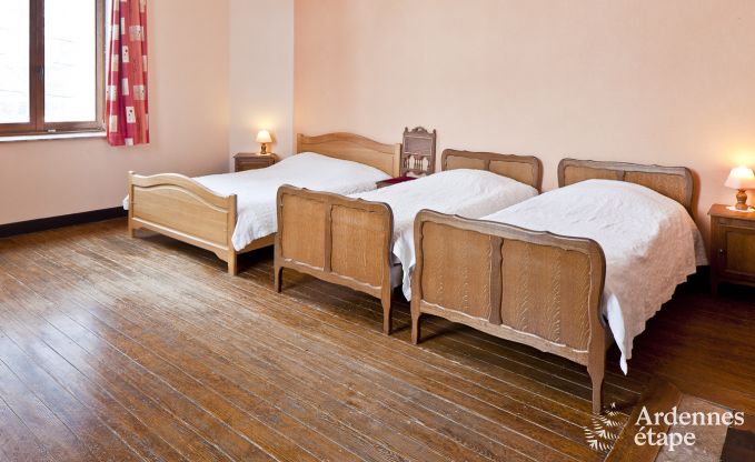 Historisch kasteel in Sainte-Ode voor 46 personen, met zwembad