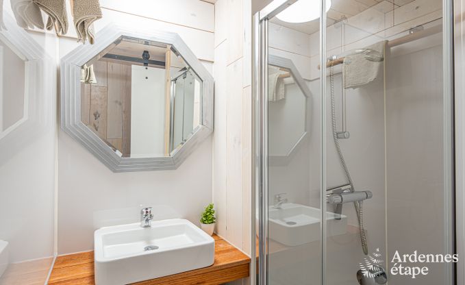 Historisch kasteel in Sainte-Ode voor 46 personen, met zwembad