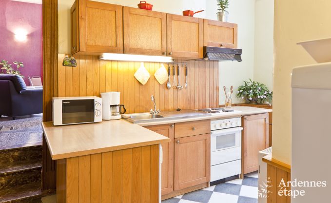 Historisch kasteel in Sainte-Ode voor 46 personen, met zwembad