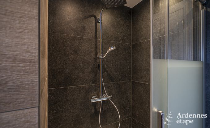 Villa in Sainte-Ode voor 14 personen met zwembad, hottub, sauna, bar en cinema