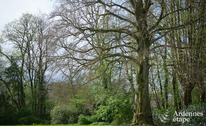 Charmant vakantieverblijf in het bijgebouw van een kasteel  in Sars-la-Bruy�re, Ardennen