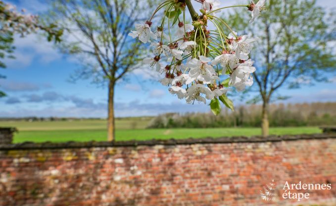Charmant vakantieverblijf in het bijgebouw van een kasteel  in Sars-la-Bruy�re, Ardennen
