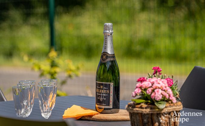 Kindvriendelijk vakantiehuis voor 7 in Sivry-Rance, Ardennen