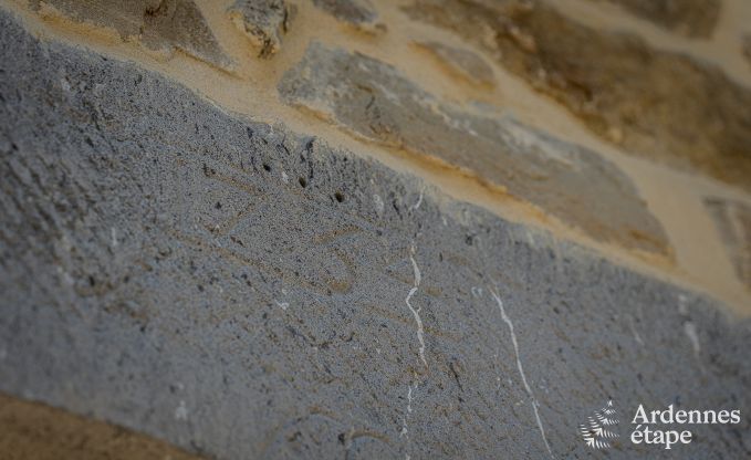 Kindvriendelijk vakantiehuis voor 7 in Sivry-Rance, Ardennen