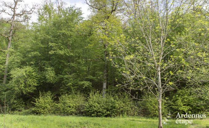 Vakantiehuis in Sivry-Rance voor 14 personen in de Ardennen