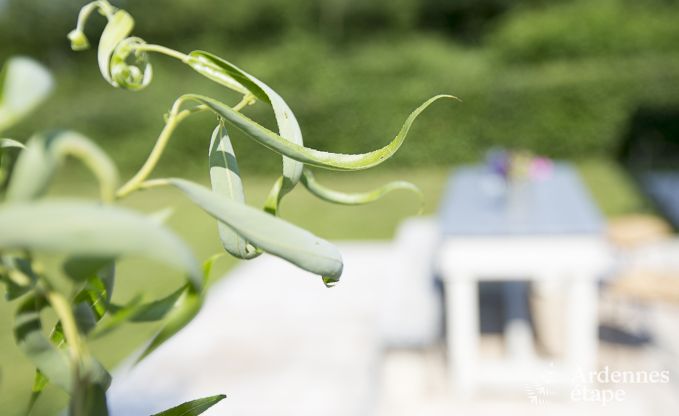 Vakantiehuis in Sivry-Rance voor 4 personen in de Ardennen