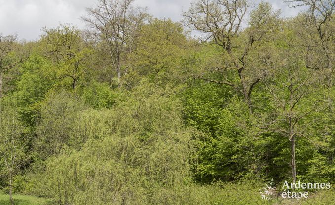 Vakantiehuis in Sivry-Rance voor 14 personen in de Ardennen