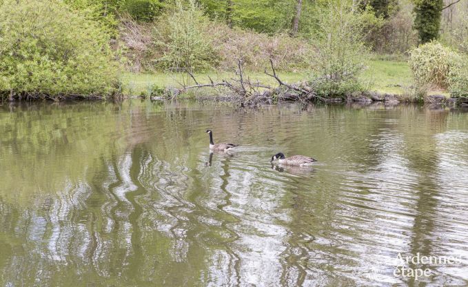Vakantiehuis in Sivry-Rance voor 14 personen in de Ardennen