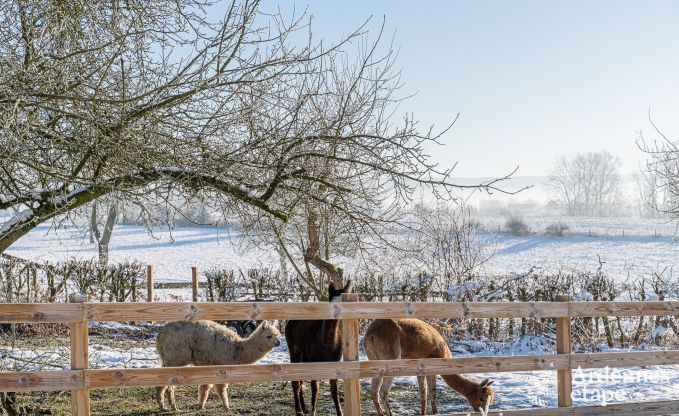 Uniek kasteel in Soiron: luxe verblijf voor 14 personen met priv�tuin, speelruimte en 5 slaapkamers en nabij Verviers