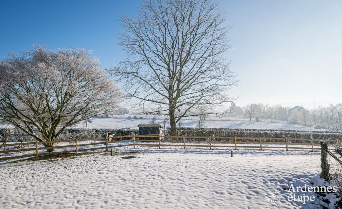 Uniek kasteel in Soiron: luxe verblijf voor 14 personen met priv�tuin, speelruimte en 5 slaapkamers en nabij Verviers