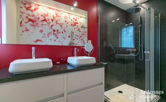 Chalet in Somme - Leuze voor 4/6 personen in de Ardennen