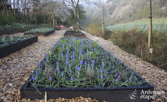 Eigentijdse woning in Somme - Leuze voor 8 personen in de Ardennen