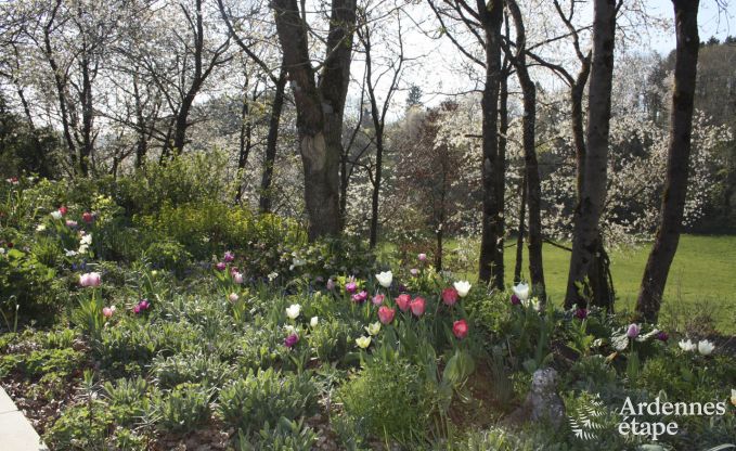 Eigentijdse woning in Somme - Leuze voor 8 personen in de Ardennen