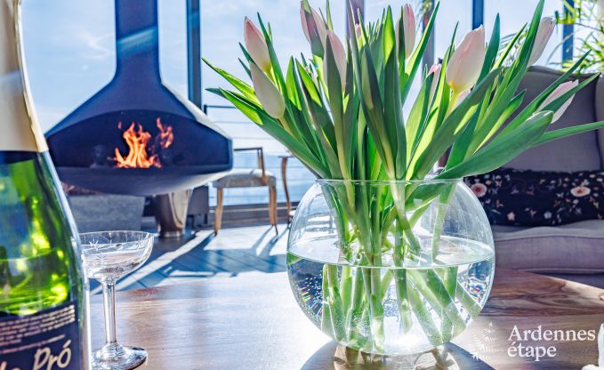 Eigentijdse woning in Somme - Leuze voor 8 personen in de Ardennen