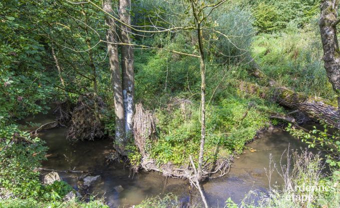 Appartement in Somme-Leuze voor 6 personen in de Ardennen