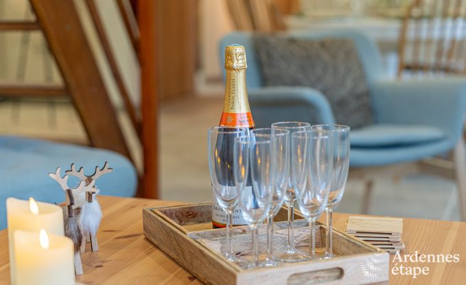 Gezellige chalet in Somme-Leuze: Scandinavisch verblijf voor gezinnen met kinderen en huisdieren