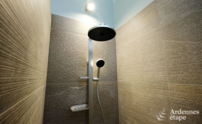 Ultramoderne villa in Somme-Leuze voor 12 personen met binnenzwembad, sauna en privtuin